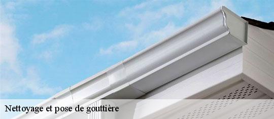 Nettoyage et pose de gouttière