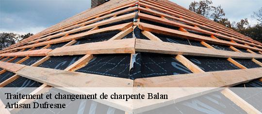 Traitement et changement de charpente