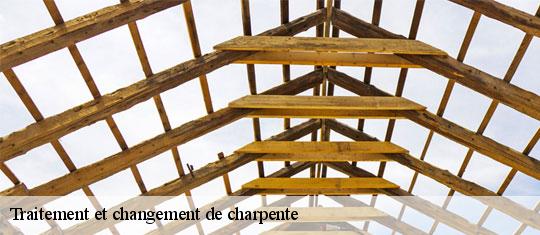 Traitement et changement de charpente