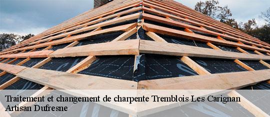 Traitement et changement de charpente